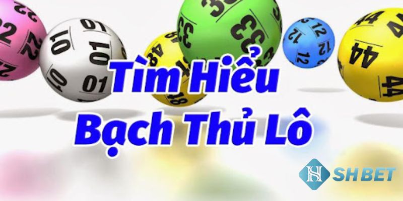 Bạch thủ lô là gì