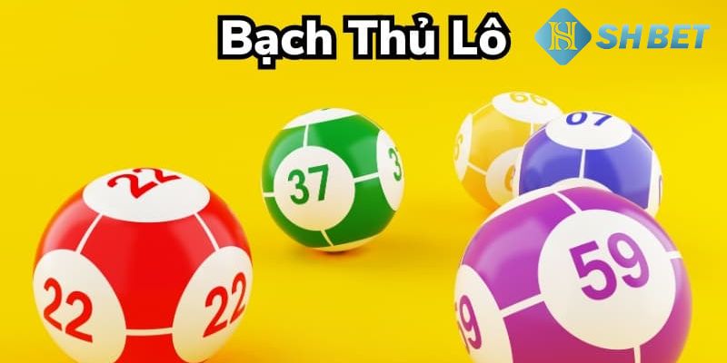 Bạch thủ lô là gì