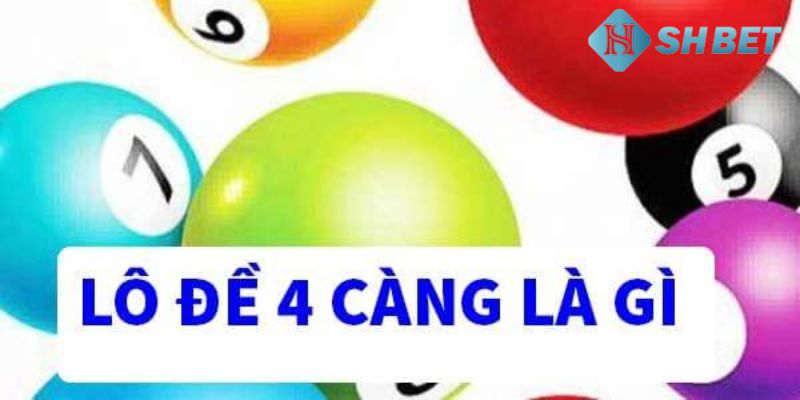 Đề 4 càng là gì