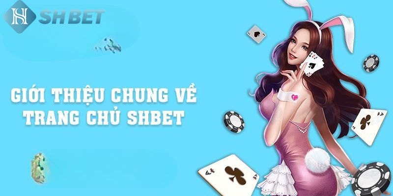 Sơ lược chung về chúng tôi - Nhà cái nhận được sự tin tưởng của người chơi