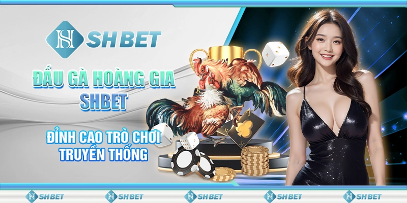 Đấu Gà Hoàng Gia SHBET – Đỉnh Cao Trò Chơi Truyền Thống