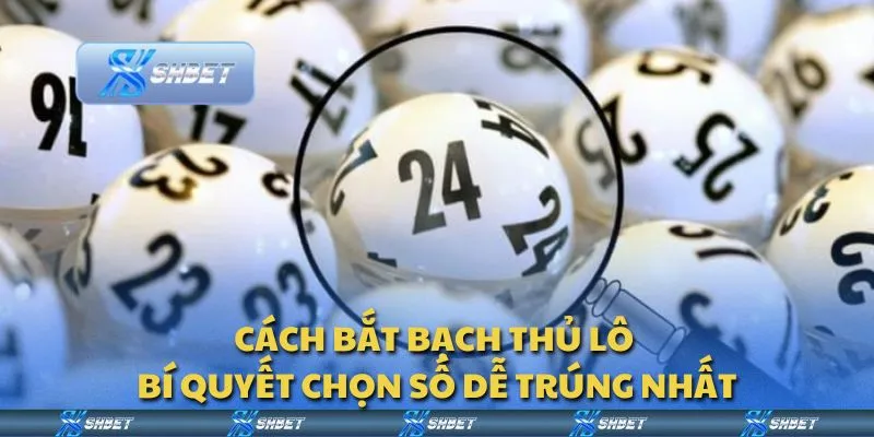 Cách bắt bạch thủ lô - Bí quyết chọn số dễ trúng nhất